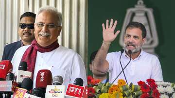 Lok Sabha Polls 2024: Rahul Gandhi to Bhupesh Baghel, check state-wise list of Congress candidates