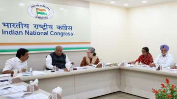 Congress chief Mallikarjun Kharge, former party chief Sonia Gandhi among other leaders during CEC meeting.