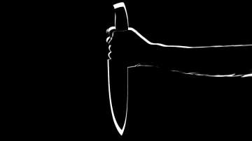 Delhi, Delhi Police, Mukherjee Nagar, man attacks girl with knife, Crime, Crime news, crime stories