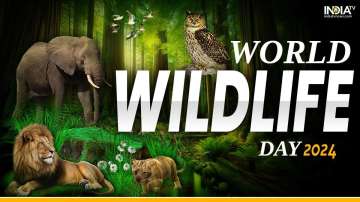 World Wildlife Day 2024