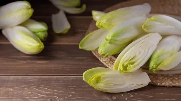 Endive