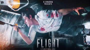 The story of the movie 'Flight' revolves around a plane crash.