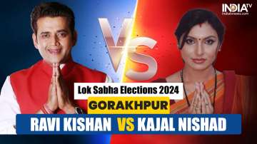 BJP MP Ravi Kishan up against Samajwadi Party's Kajal Nishad