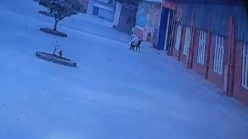 CCTV footage of the murder