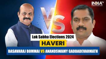 Haveri Lok Sabha Elections 2024, Lok Sabha elections 2024, Karnataka, Basavaraj Bommai