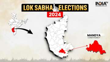 Mandya Lok Sabha Election 2024