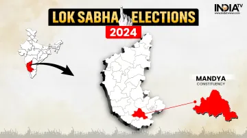 Mandya Lok Sabha Election Result 2024