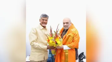 TDP chief Chandrababu Naidu meets BJP top brass amid buzz over pre-poll alliance