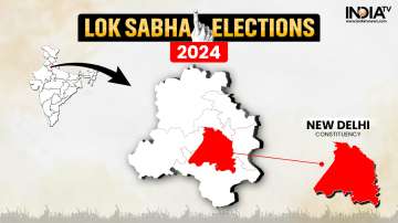 New Delhi Lok Sabha Election 2024