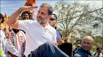 Rahul Gandhi, Amethi, Lok Sabha polls