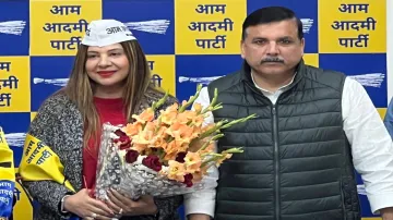 Sambhavna Seth, Sambhavna Seth quits AAP, Arvind Kejriwal