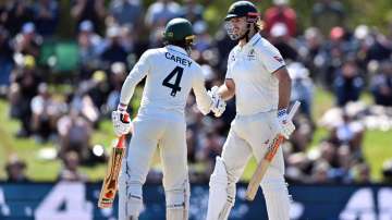 Alex Carey and Mitchell Marsh.