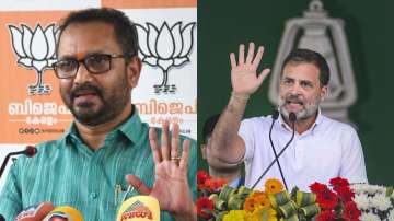 BJP fields Kerala unit president against Rahul Gandhi from Wayanad