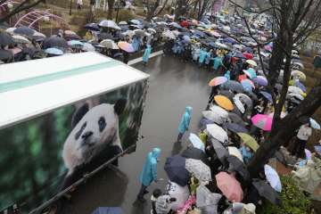 South Koreans bid farewell to beloved panda 