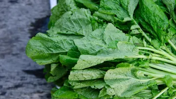 Superfood Mustard Greens