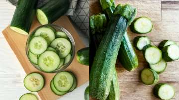 Cucumber vs Zucchini