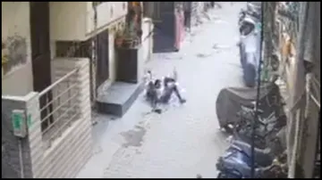 Uttar Pradesh, Ghaziabad, dog attacks boy