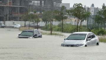 Dubai floods news