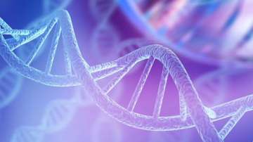 YKT6 gene variants