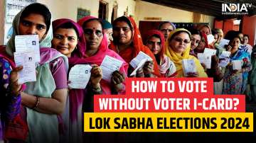 Lok Sabha Elections 2024, How to vote without Voter ID card, First phase of voting
