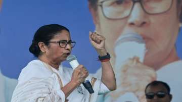 Mamata Banerjee, TMC, Lok Sabha Elections 2024