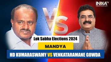 Mandya Lok Sabha polls