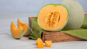 muskmelon seeds benefits