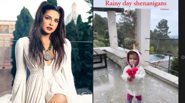 peecee malti rainy