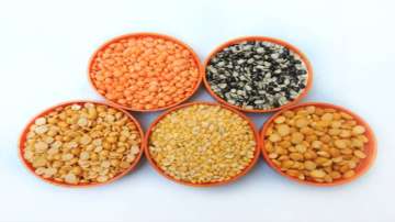 Government, Government to start portal to monitor pulses stock from April 15, latest updates, pulses