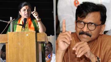 Lok Sabha Elections 2024, Sanjay Raut takes dancer jibe at Navneet Rana, BJP Amravati candidate, mah