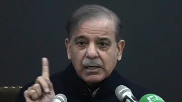 Pakistan, Shehbaz Sharif, Saudi Arabia, financial crisis