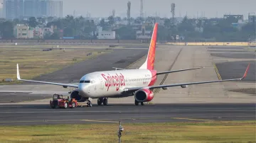 SpiceJet, SpiceJet flight lands without luggage