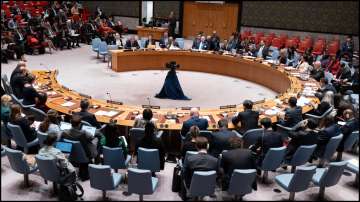 UN Security Council, Palestinian UN membership, US veto
