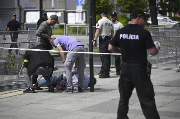 A person detained after he fired four shots at Slovak PM