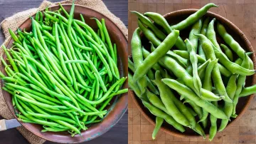 French Beans vs Fava Beans