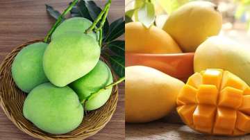 Raw Mango vs Ripe Mango