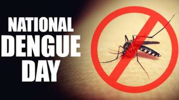 National Dengue Day 2024