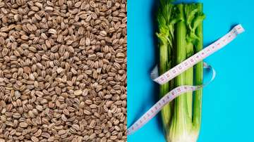 Improved bone health to heart health: Check out 5 surprising health benefits of celery seeds