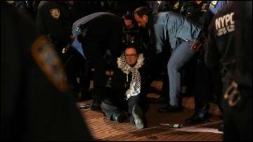 Columbia University, pro-Palestinian protesters, police