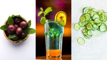 Basil, Kokum, Sabja: Add these 5 Indian coolants to your next summer drink