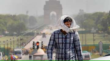 Delhi temperature 