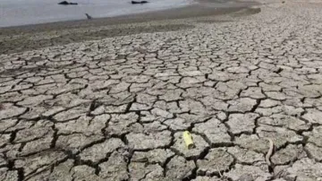 Rajasthan, drought