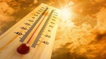 Heatwave, Rajasthan, temperature, Rajasthan High Court
