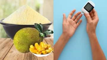 Jackfruit flour is beneficial for diabetics