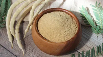 Mesquite powder