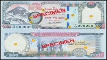 Nepal's Rs 100 currency note
