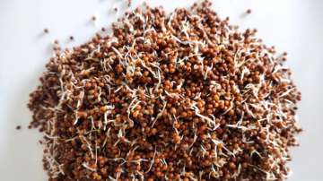 5 reasons why sprouted ragi should be included in your diet this summer