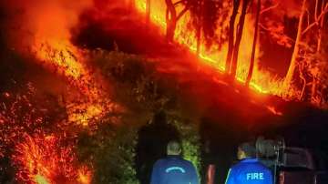 Uttarakhand forest fire, Supreme Court on Uttarakhand forest fire