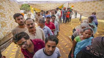 Voters stand in queue to cast their vote in the Lok Sabha elections 2024.