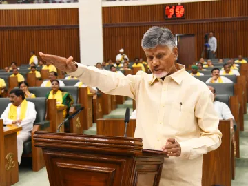 Chandrababu Naidu